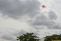 Venice kite festival_0562